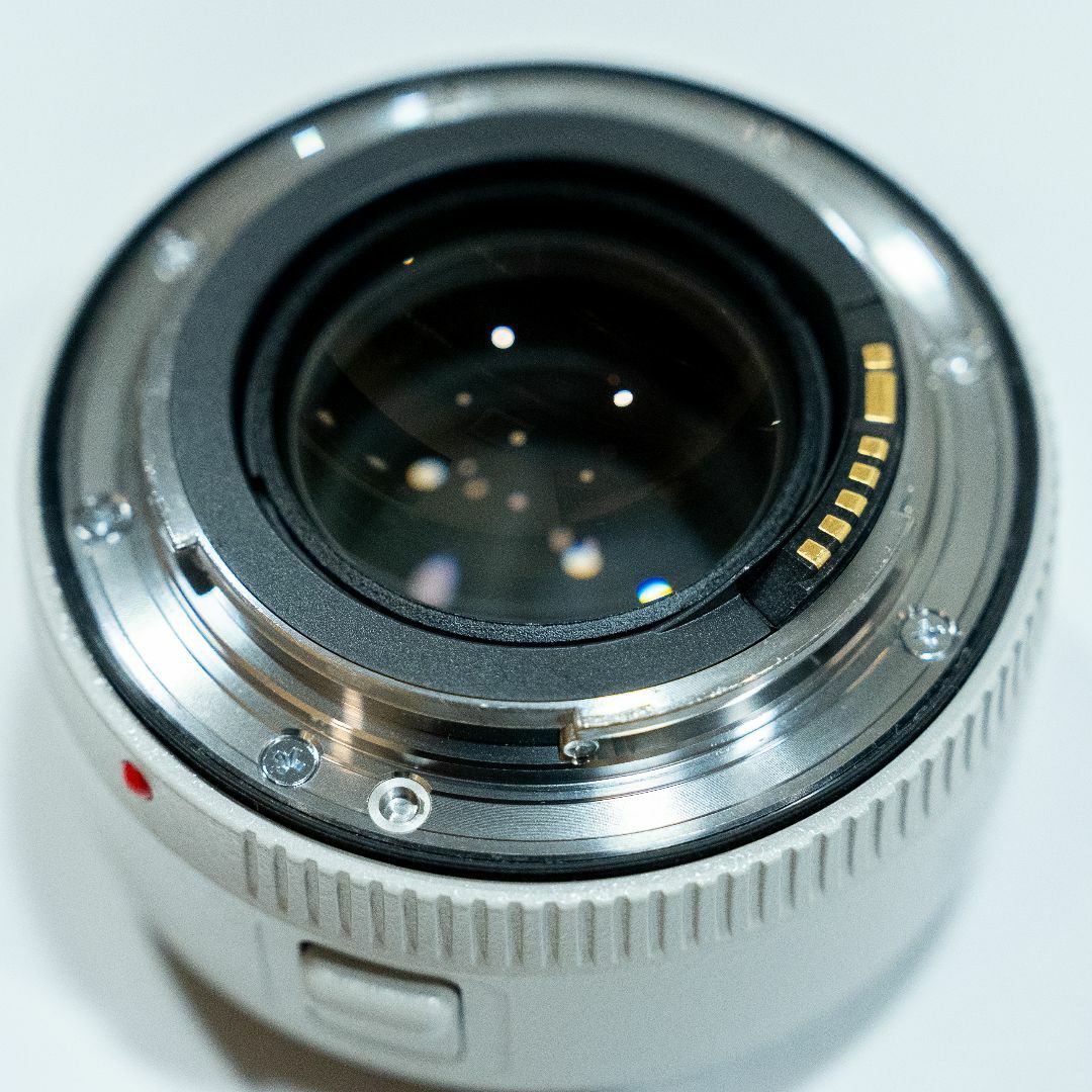 キャノン エクステンダー EF1.4X III キャノン エクステンダー EF1.4X III