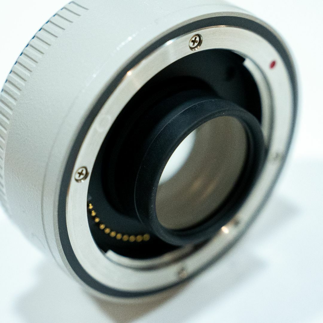 キャノン エクステンダー EF1.4X III キャノン エクステンダー EF1.4X III