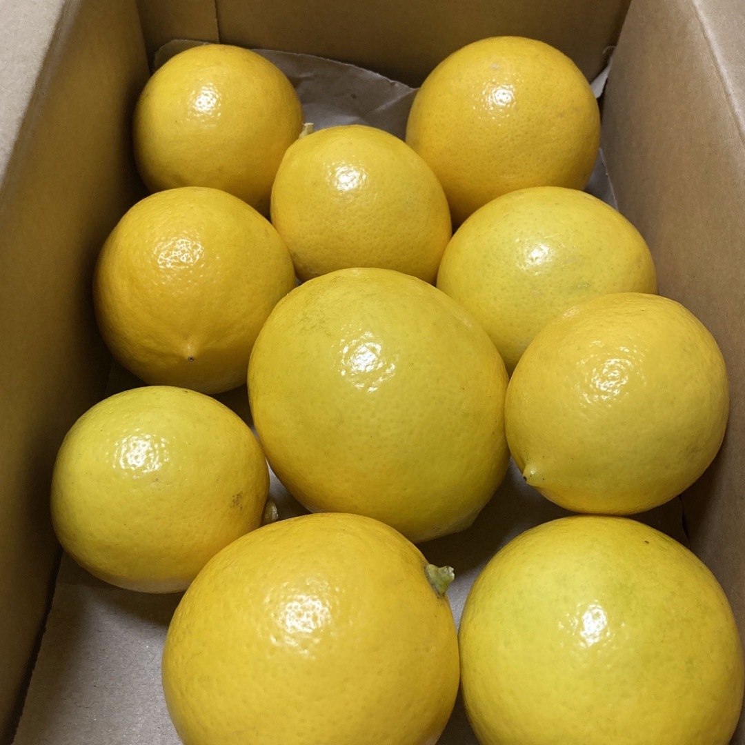 農薬不使用　マイヤーレモン　箱込2キロ 食品/飲料/酒の食品(フルーツ)の商品写真