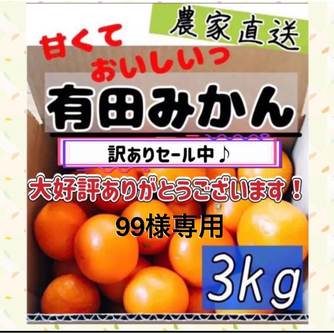 99様専用 3kg 食品/飲料/酒の食品(フルーツ)の商品写真