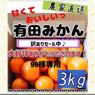 99様専用 3kg(フルーツ)