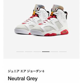 ナイキ(NIKE)のNIKE AirJORDAN6 NeutralGrey 22.5(スニーカー)