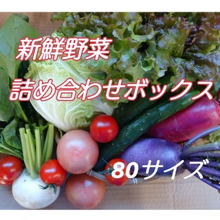 新鮮野菜 詰め合わせボックス(野菜)
