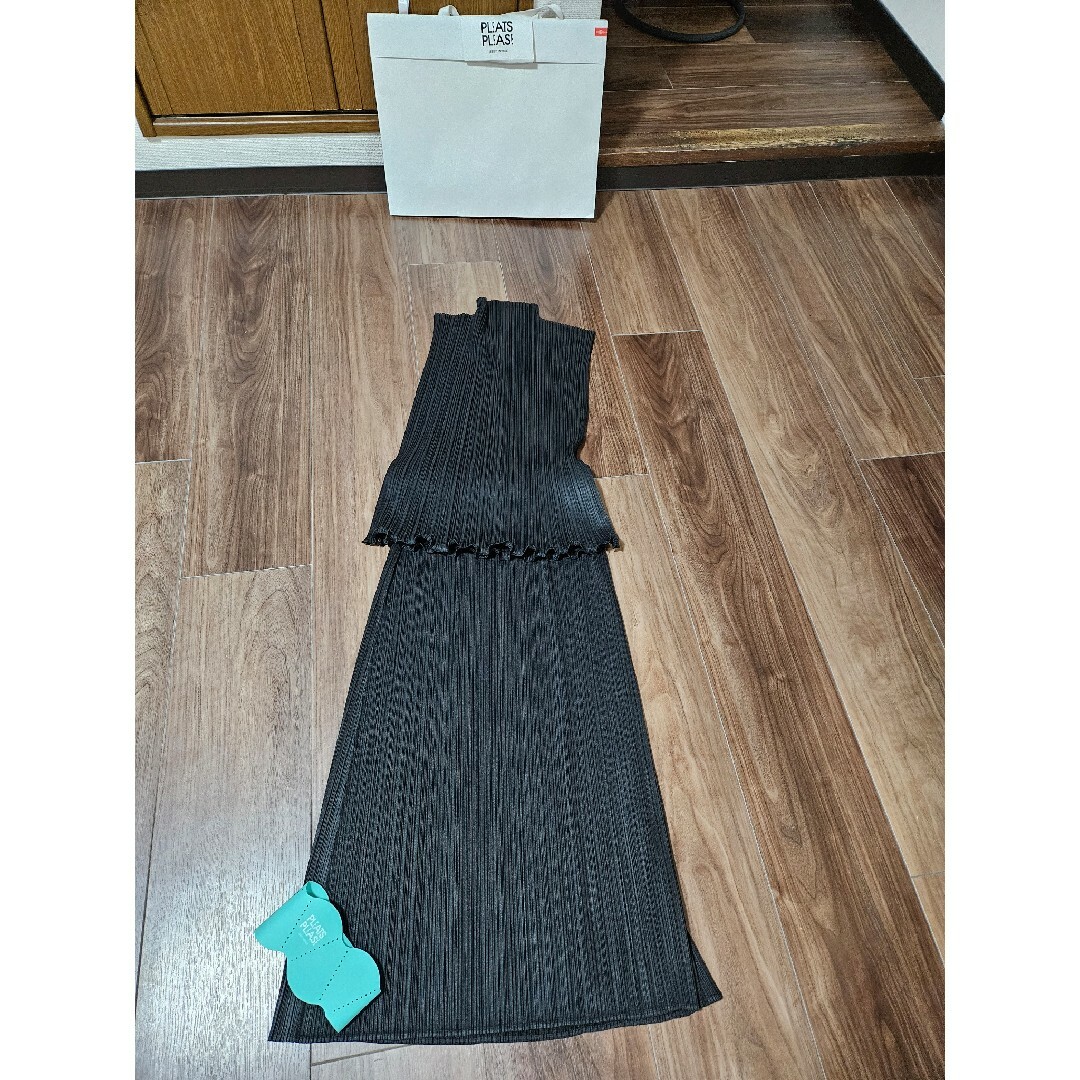 PLEATS PLEASE ISSEY MIYAKE(プリーツプリーズイッセイミヤケ)の高島屋ISSEY MIYAKEプリーツプリーズ完売トップス レディースのトップス(カットソー(半袖/袖なし))の商品写真