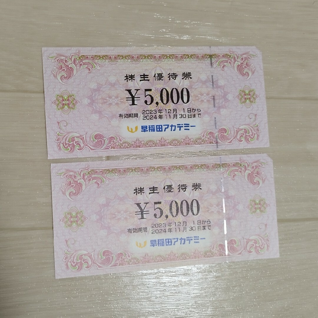 その他早稲田アカデミー株主優待 10,000円 - その他