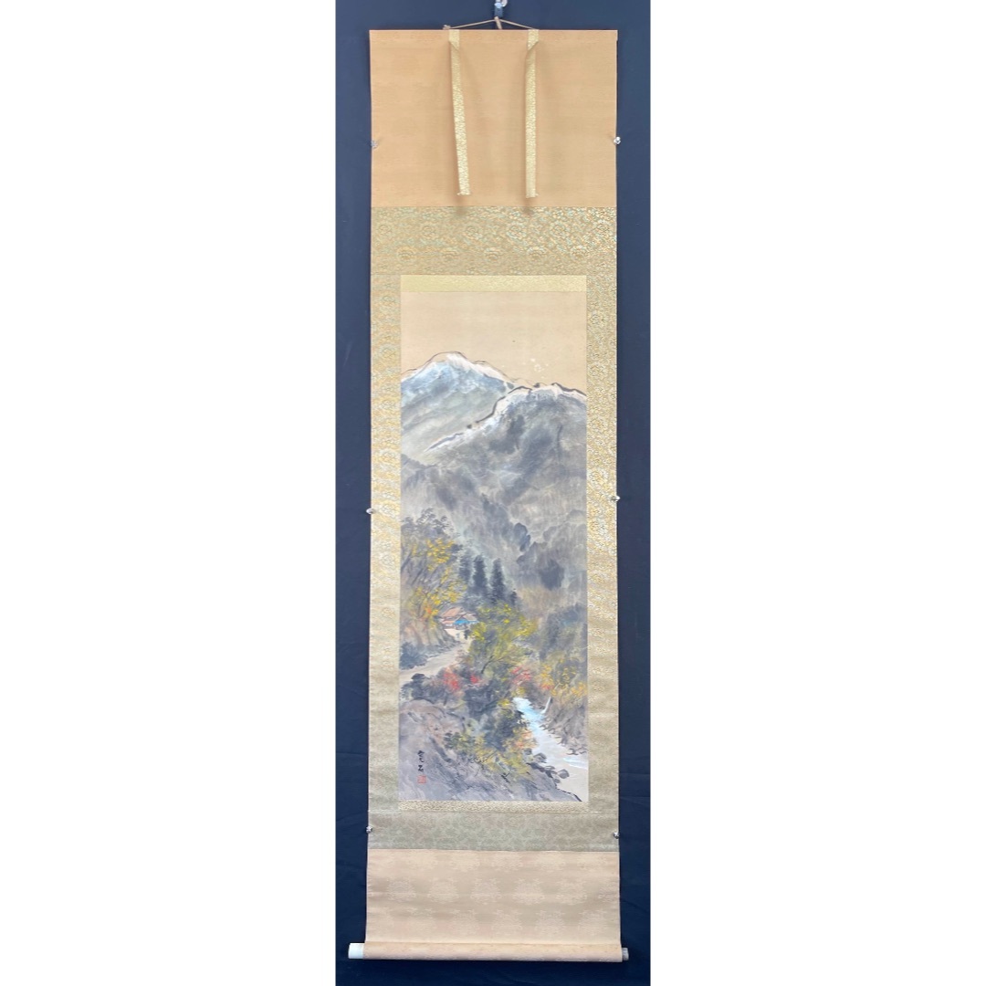 杉林2