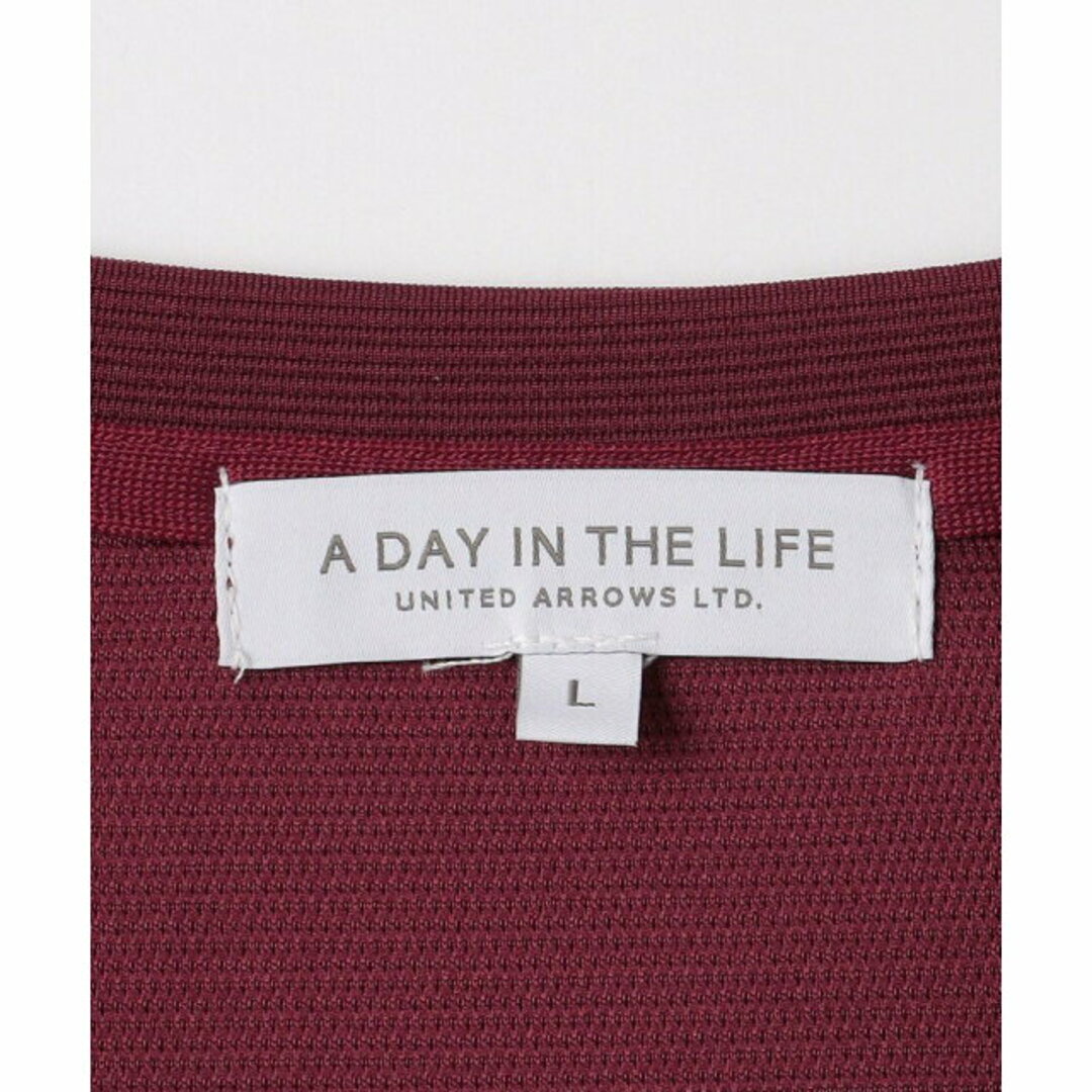 a day in the life(アデイインザライフ)の【WINE】リップル Vネック カットソー<A DAY IN THE LIFE> メンズのトップス(Tシャツ/カットソー(半袖/袖なし))の商品写真