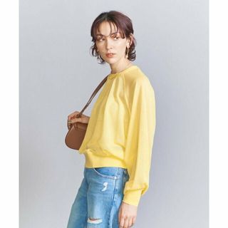 ビューティアンドユースユナイテッドアローズ(BEAUTY&YOUTH UNITED ARROWS)の【YELLOW】シアー クルーネック ニット プルオーバー(ニット/セーター)