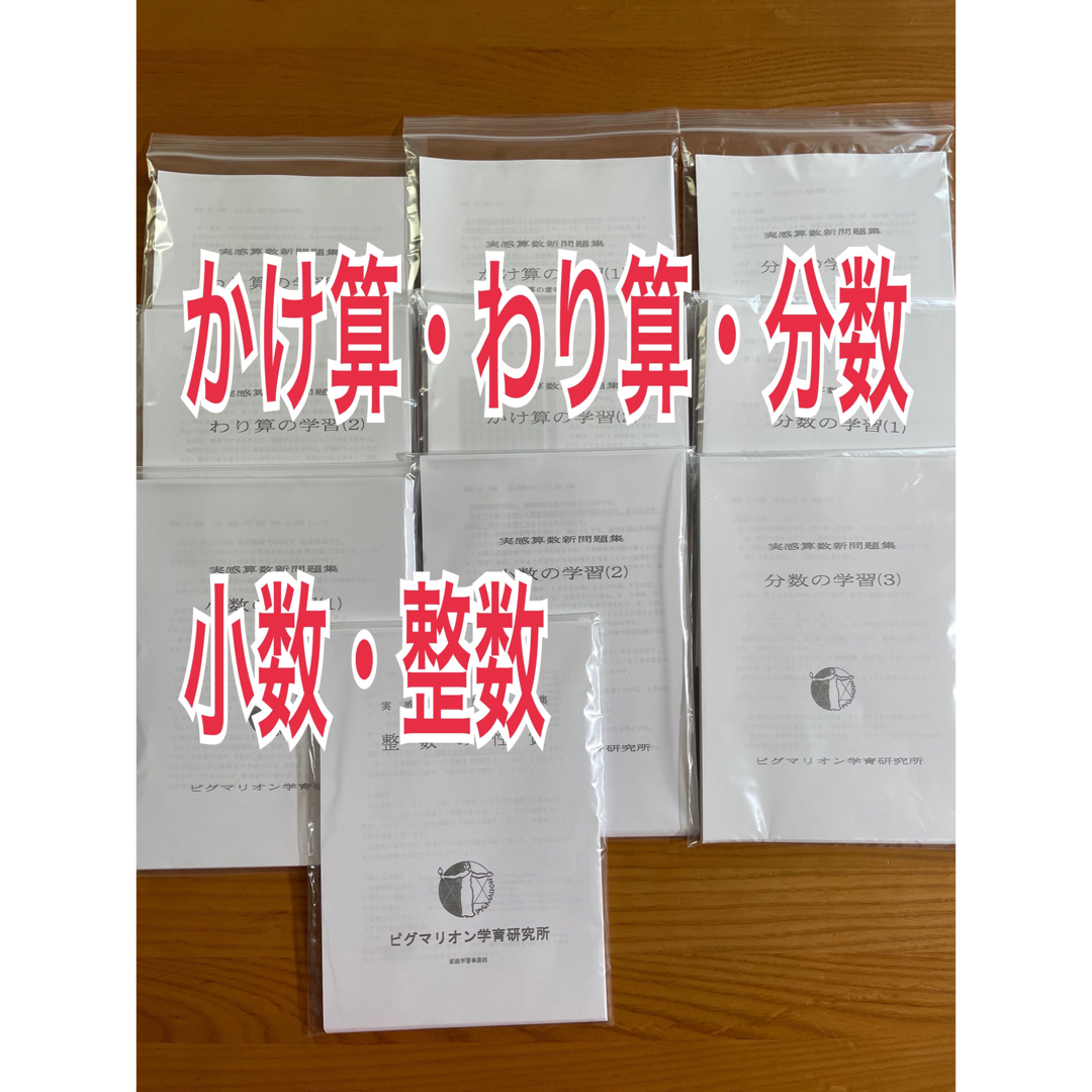 ピグマリオン 実感算数 ポイント学習 かけ算 わり算 分数 小数 整数の