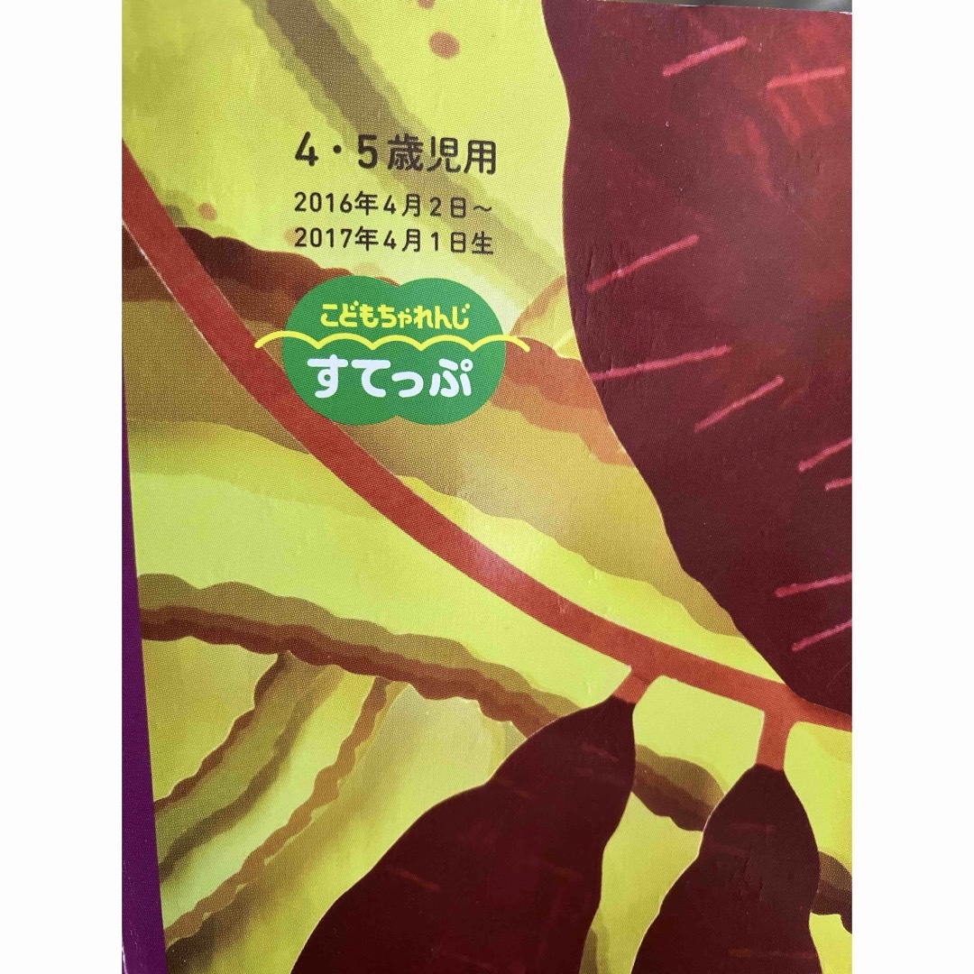 こどもちゃれんじほっぷ　すてっぷ　年少ー年中　１年９ヶ月分（21冊）絵本テキスト キッズ/ベビー/マタニティのおもちゃ(知育玩具)の商品写真