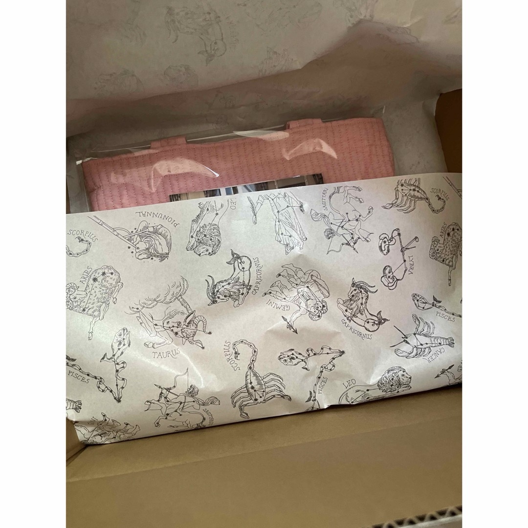 R様専用♡未開封♡ピオヌンナル　ベビーピンク　MOVE 即買ＯＫ♡ レディースのバッグ(ハンドバッグ)の商品写真