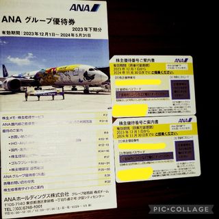 エーエヌエー(ゼンニッポンクウユ)(ANA(全日本空輸))の☆ANA　株主優待-2 枚　冊子付き☆(その他)