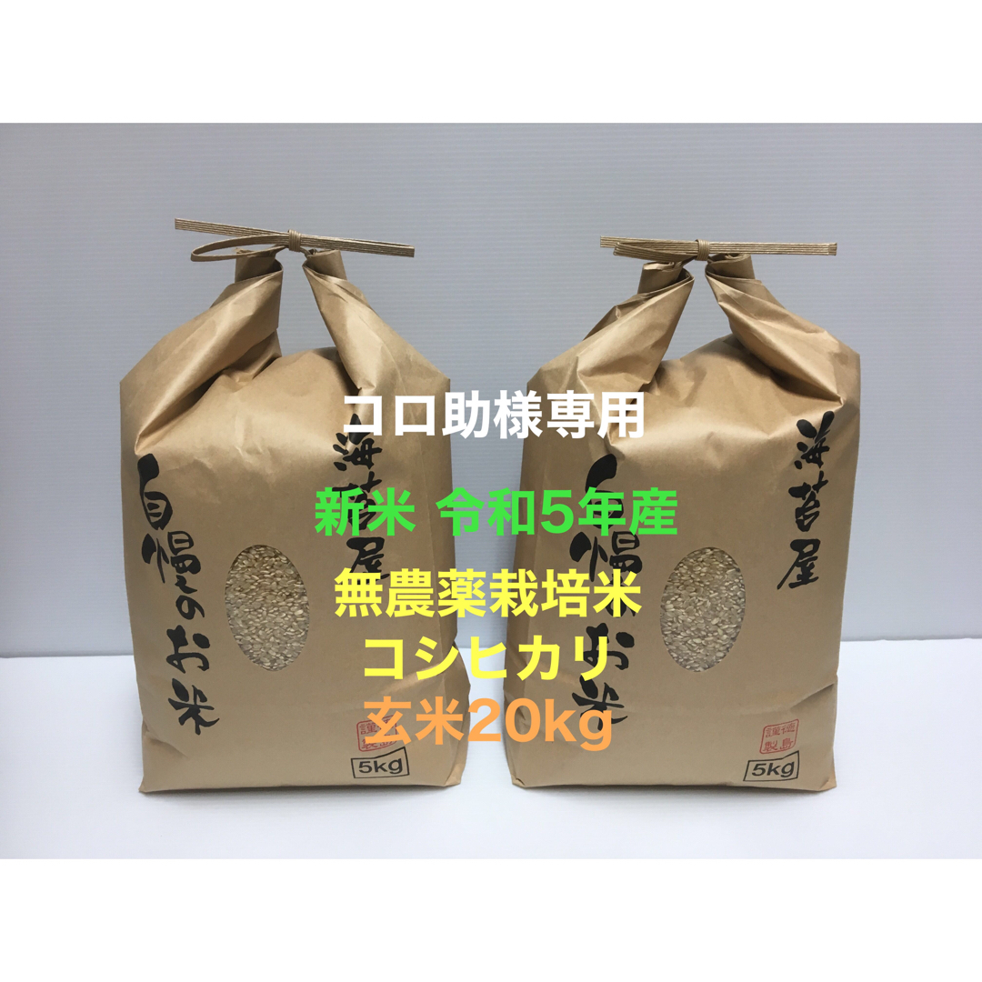 コロ助 新米 無農薬コシヒカリ玄米20kg(5kg×4)令和5年産 - 食品