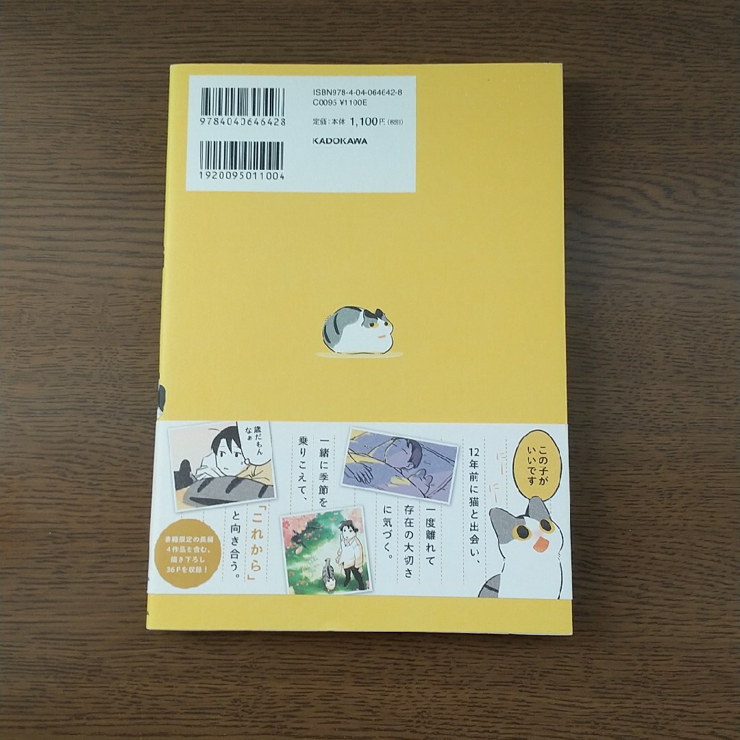 【値下げ】じじ猫くらし エンタメ/ホビーの本(文学/小説)の商品写真