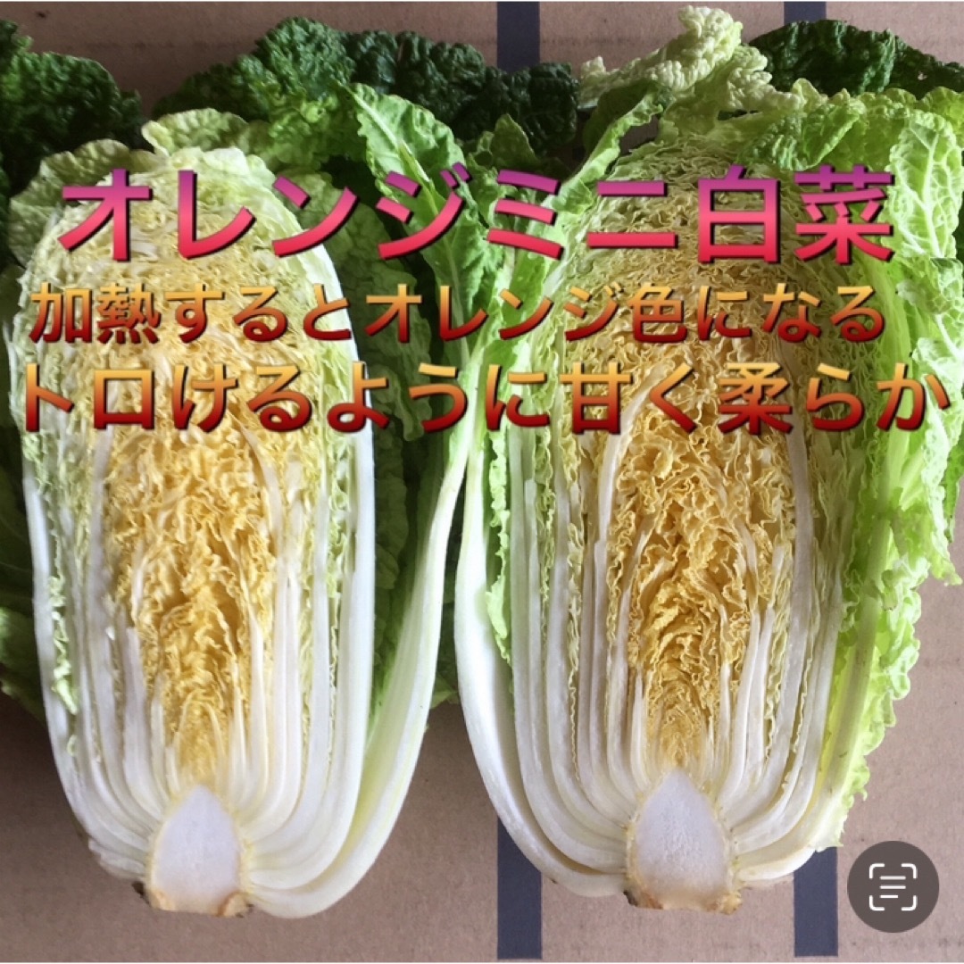 お試しSALE 採れたて新鮮野菜詰め合わせ　60サイズ 食品/飲料/酒の食品(野菜)の商品写真