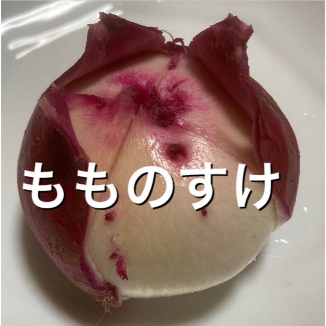 お試しSALE 採れたて新鮮野菜詰め合わせ　60サイズ 食品/飲料/酒の食品(野菜)の商品写真