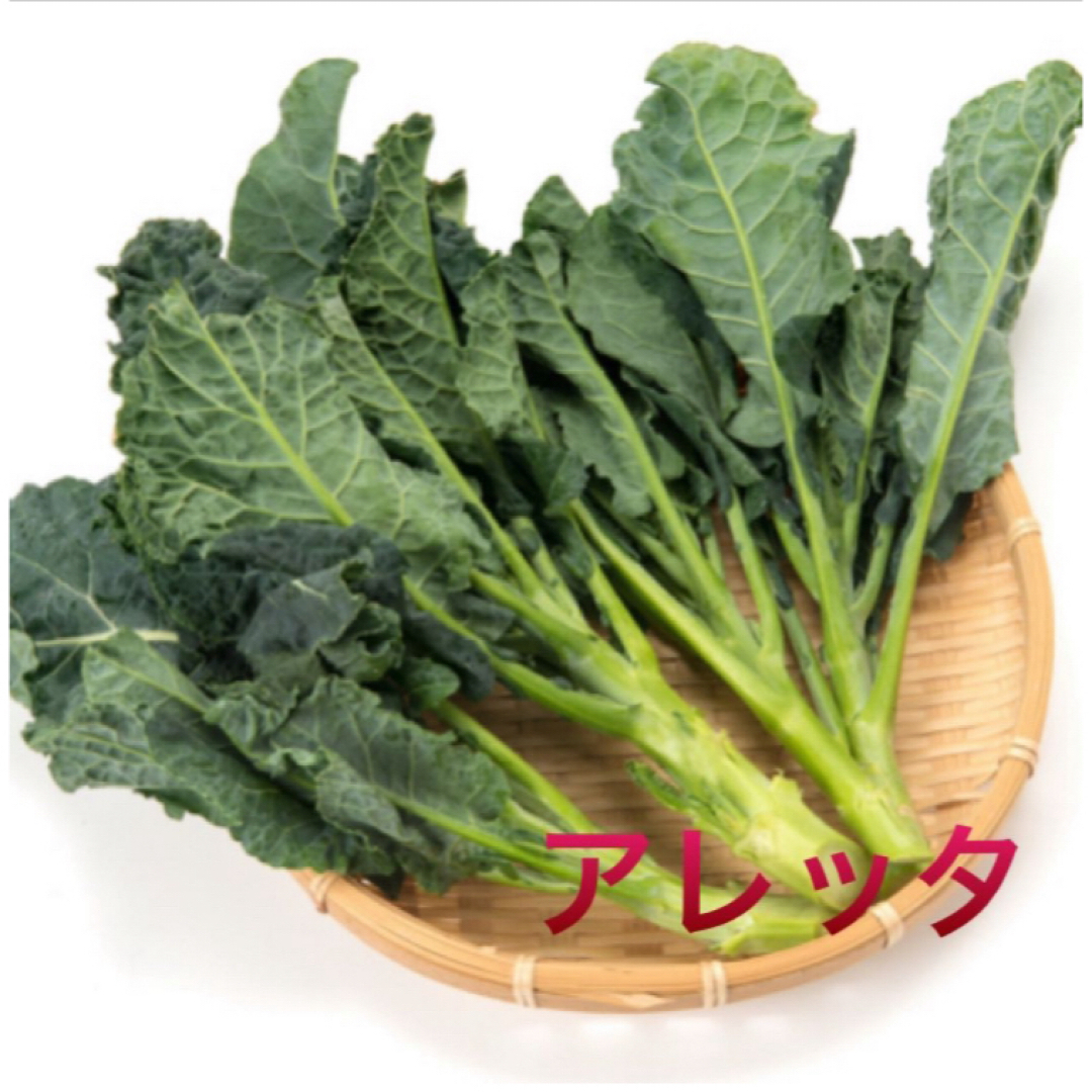 お試しSALE 採れたて新鮮野菜詰め合わせ　60サイズ 食品/飲料/酒の食品(野菜)の商品写真