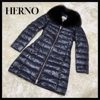 ヘルノ(HERNO)の✨極美品.大きいサイズ✨Herno iconico Elisa 黒 44 ファー(ダウンコート)