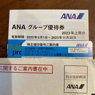 エーエヌエー(ゼンニッポンクウユ)(ANA(全日本空輸))のANA 株主優待券1+1枚(その他)