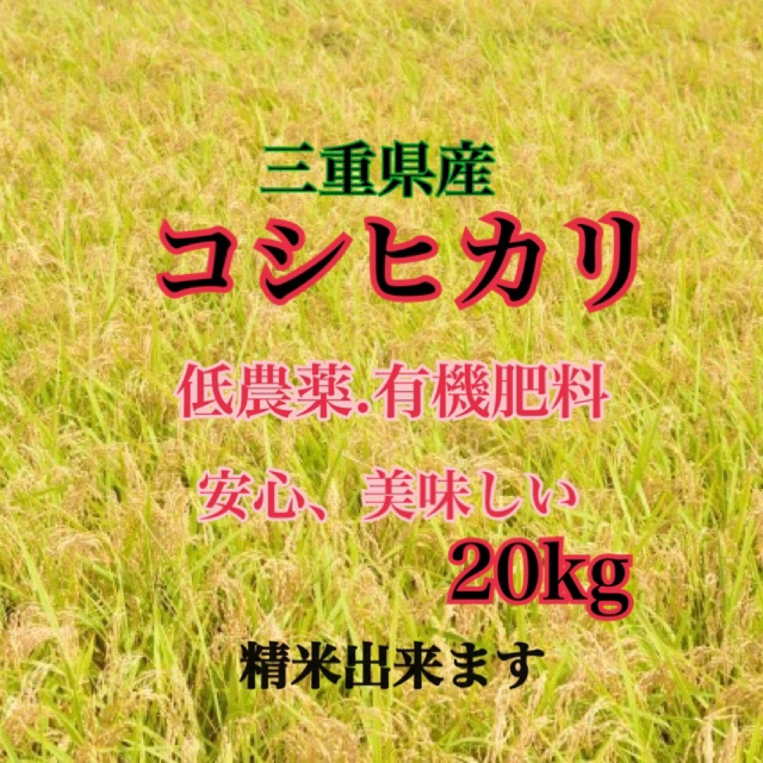 食品三重県産コシヒカリ20kg   精米出来ます