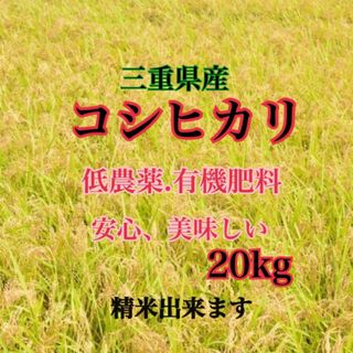 三重県産コシヒカリ20kg   精米出来ます(米/穀物)