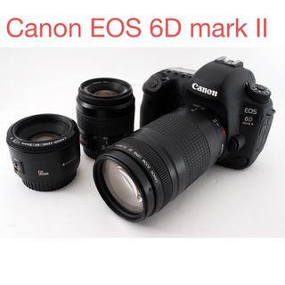 キヤノン(Canon)のキヤノンCanon EOS 6D Mark II 標準&望遠&単焦点レンズセット(デジタル一眼)