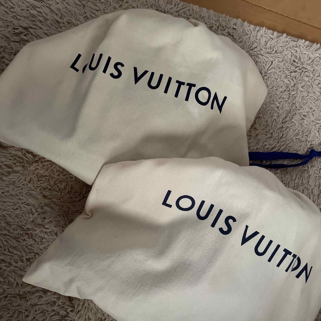 LOUIS VUITTON(ルイヴィトン)の　LOUIS VUITTON ルイヴィトン  スノードロップラインアンクルブーツ レディースの靴/シューズ(ブーツ)の商品写真