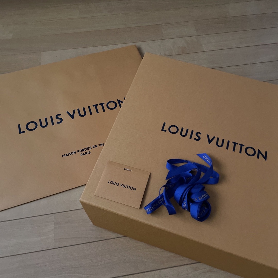 LOUIS VUITTON(ルイヴィトン)の　LOUIS VUITTON ルイヴィトン  スノードロップラインアンクルブーツ レディースの靴/シューズ(ブーツ)の商品写真