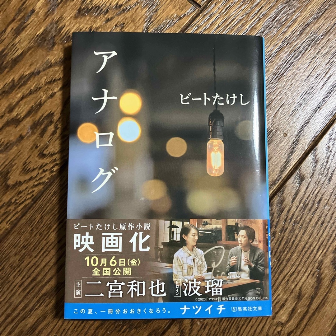 アナログ エンタメ/ホビーの本(文学/小説)の商品写真