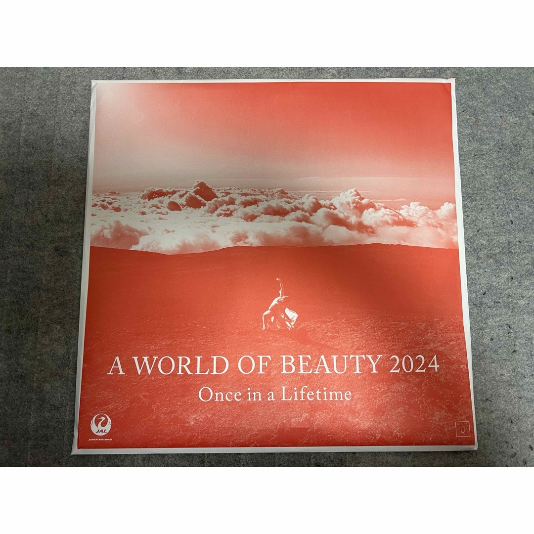 JAL(日本航空)(ジャル(ニホンコウクウ))のJALカレンダー　A world of beauty 2024 通常盤 インテリア/住まい/日用品の文房具(カレンダー/スケジュール)の商品写真