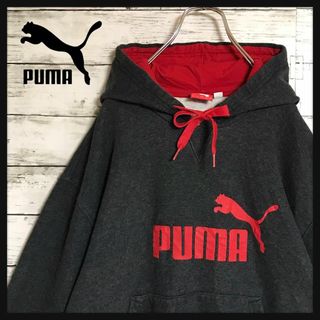 プーマ(PUMA)の【超ビックサイズ】プーマ　ビックロゴパーカー　バイカラー　太袖ゆるだぼH565(パーカー)