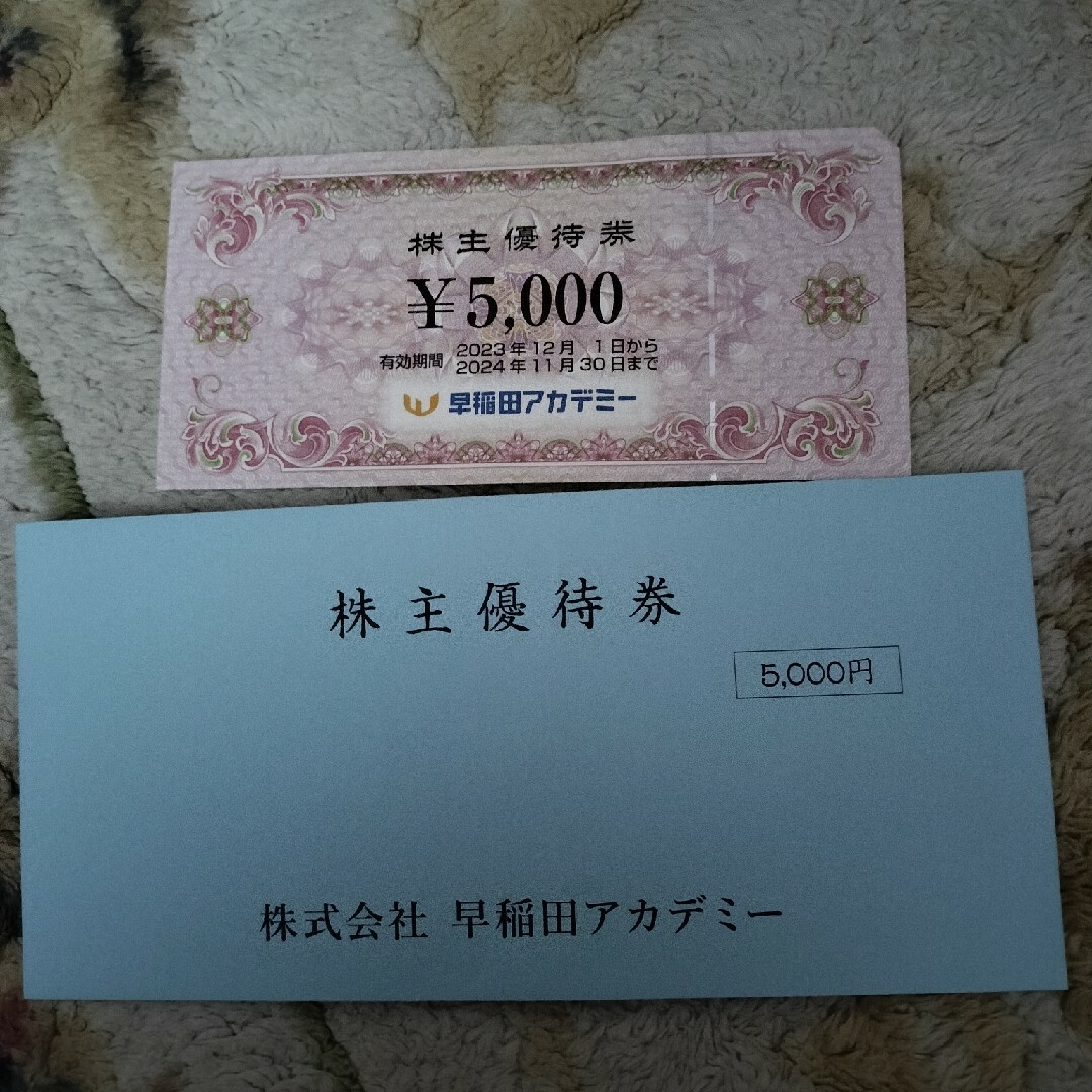 早稲田アカデミー　匿名配送　株主優待券　5000円 チケットの優待券/割引券(その他)の商品写真