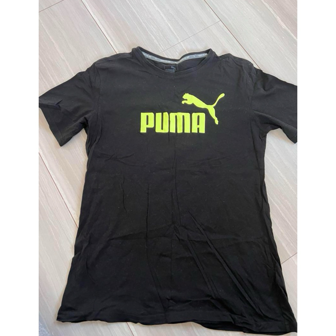 PUMA レディースのトップス(Tシャツ(半袖/袖なし))の商品写真
