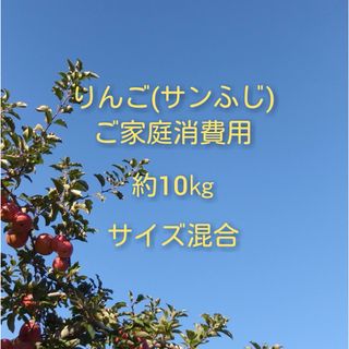 りんご(サンふじ)訳ありご家庭消費用 約10kg(フルーツ)