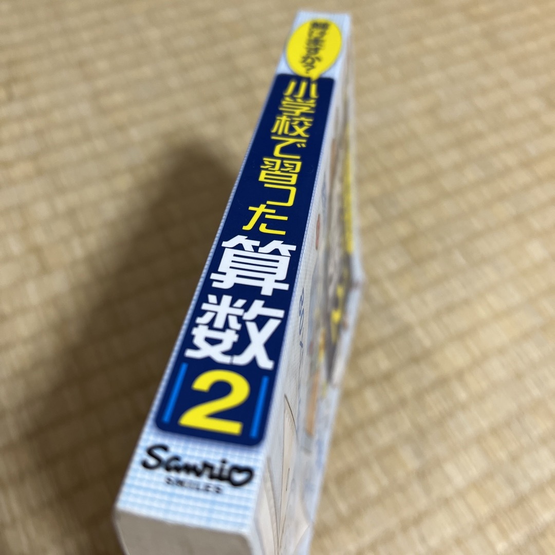 サンリオ(サンリオ)の解けますか？小学校で習った算数 エンタメ/ホビーの本(科学/技術)の商品写真