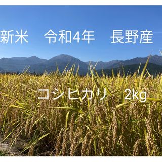 令和4年長野産コシヒカリ　ゆうパケットポスト箱込みで2kg(米/穀物)