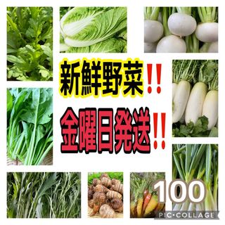 農家直送‼️野菜セット‼️金曜日発送‼️(野菜)