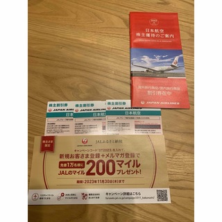 ジャル(ニホンコウクウ)(JAL(日本航空))の日本航空　株主割引券　3枚(航空券)