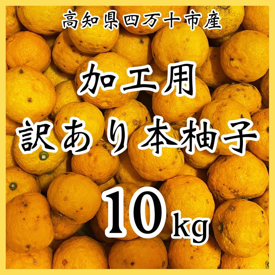 訳あり本柚子10kg RY02 食品/飲料/酒の食品(フルーツ)の商品写真