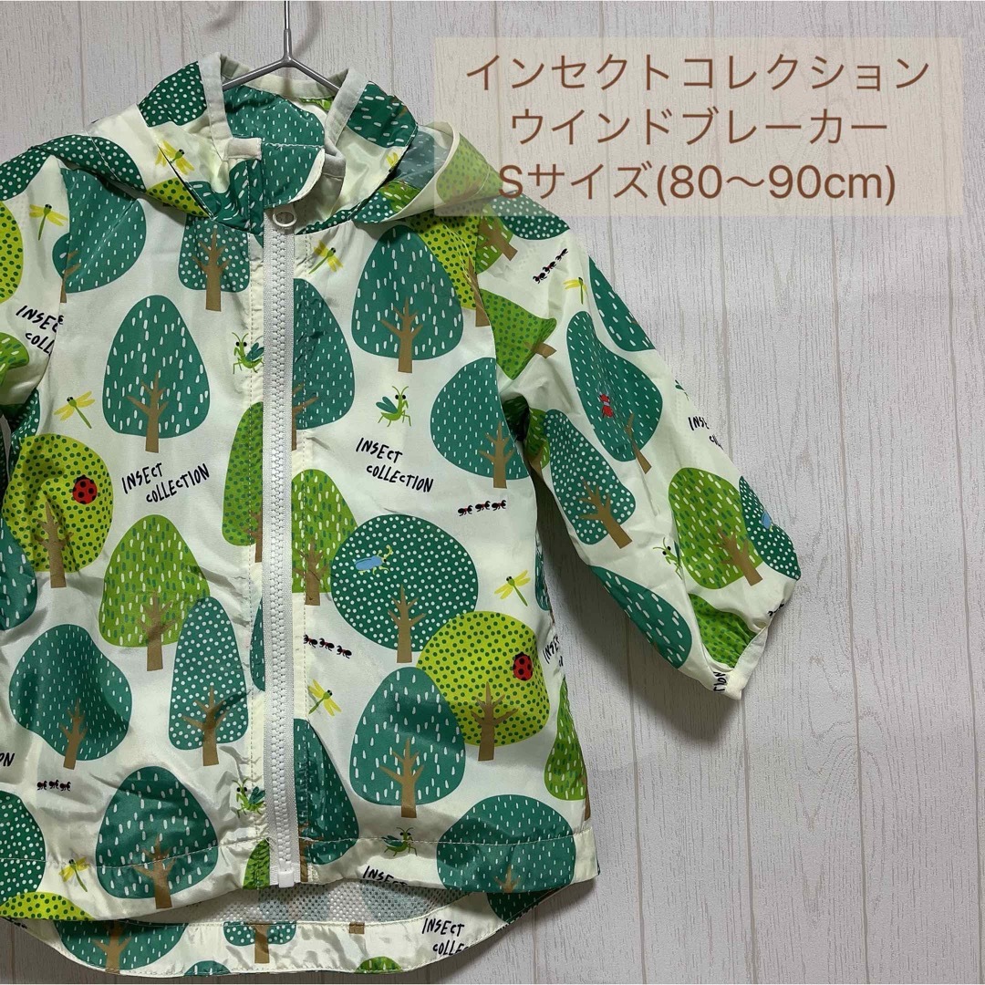 INSECT　COLLECTION(インセクトコレクション)の美品 インセクトコレクション ウインドブレーカー Sサイズ 80～90cm キッズ/ベビー/マタニティのキッズ服男の子用(90cm~)(ジャケット/上着)の商品写真