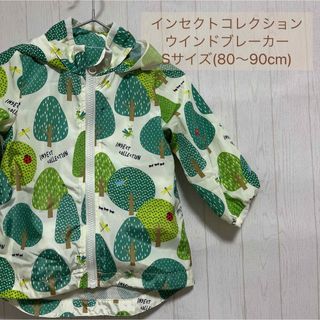 インセクトコレクション(INSECT　COLLECTION)の美品 インセクトコレクション ウインドブレーカー Sサイズ 80～90cm(ジャケット/上着)