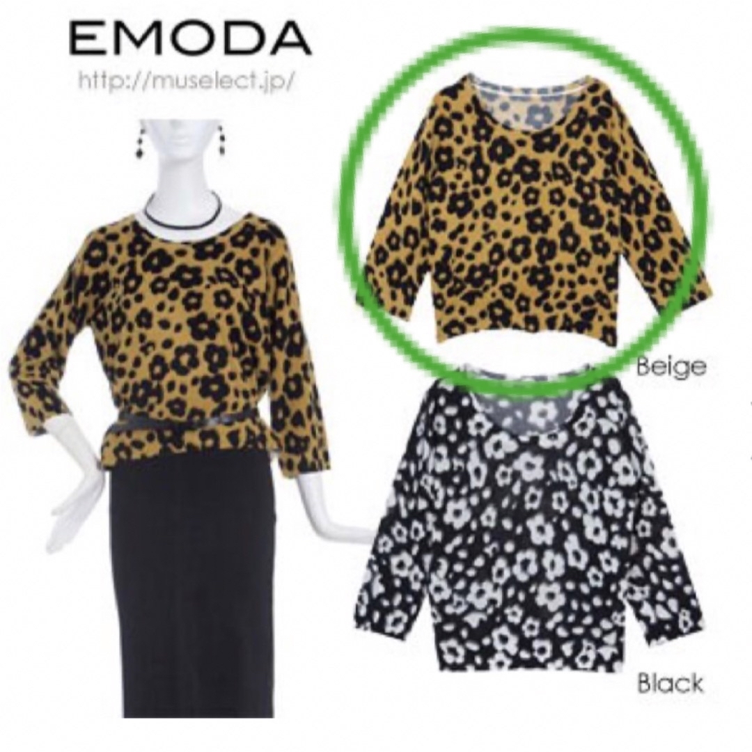 EMODA(エモダ)のEMODA フラワーレオパード ニット トップス レディースのトップス(ニット/セーター)の商品写真