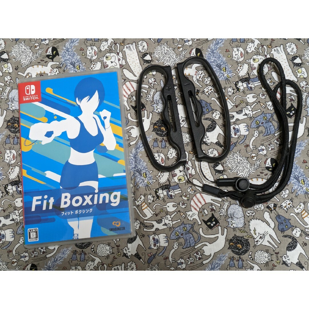 任天堂(ニンテンドウ)のFit Boxing　専用ストラップ付き エンタメ/ホビーのゲームソフト/ゲーム機本体(家庭用ゲームソフト)の商品写真
