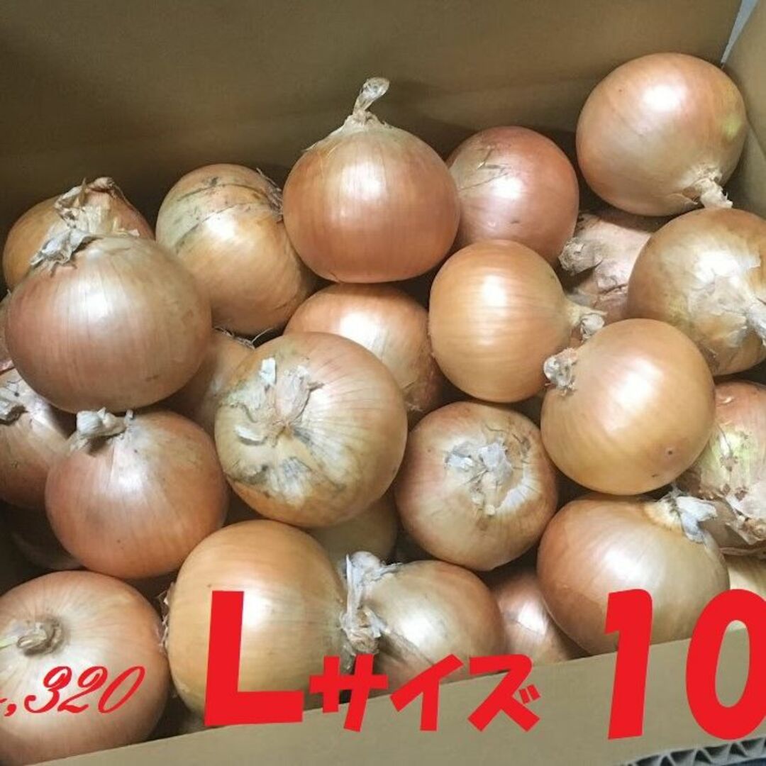 北海道産　タマネギ　Ｌサイズ　10kg　農家直送 食品/飲料/酒の食品(野菜)の商品写真