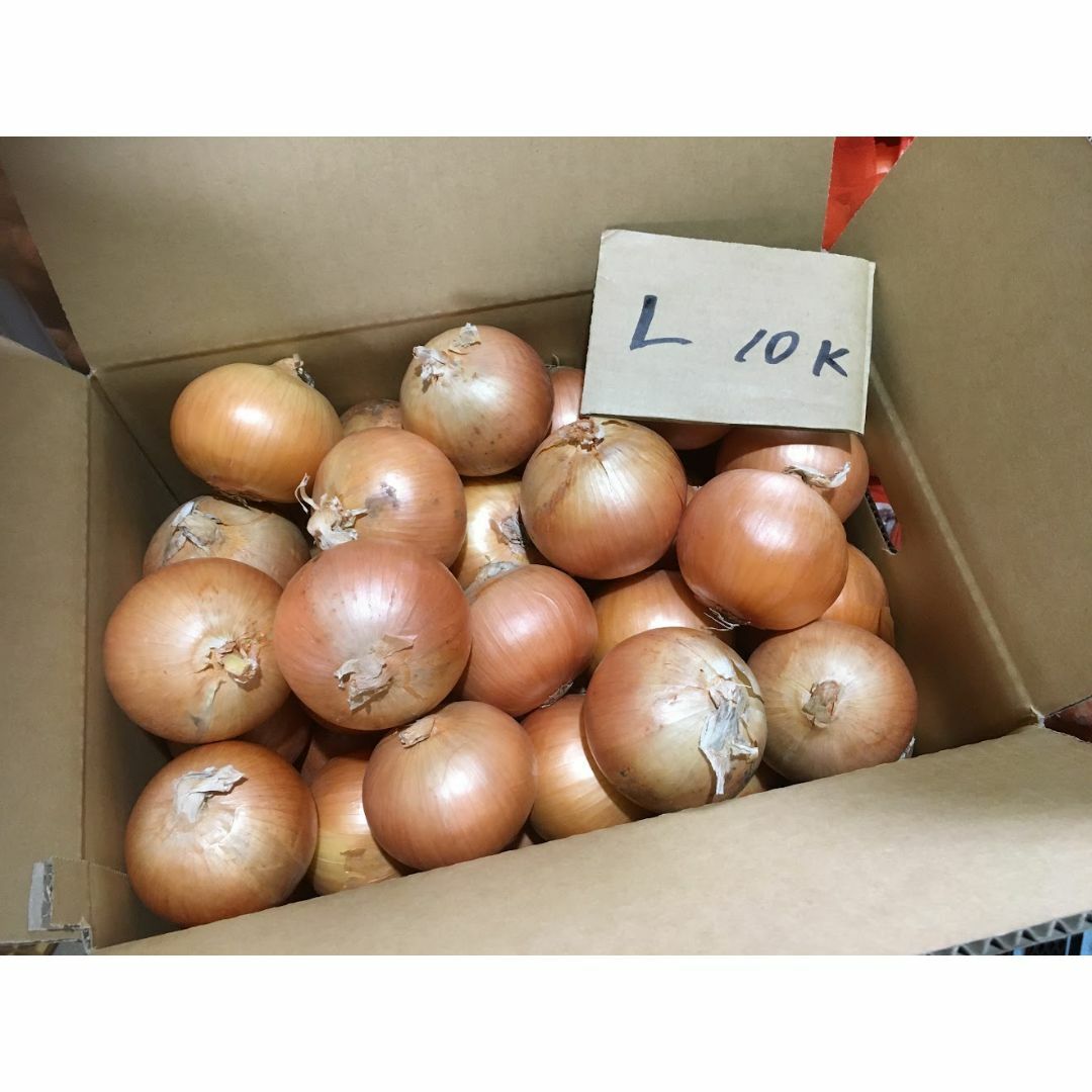 北海道産　タマネギ　Ｌサイズ　10kg　農家直送 食品/飲料/酒の食品(野菜)の商品写真