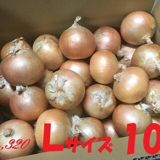 北海道産　タマネギ　Ｌサイズ　10kg　農家直送(野菜)