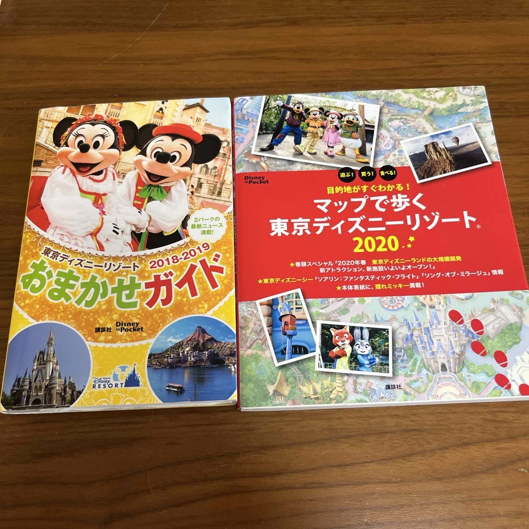 ディズニー　ガイドブック エンタメ/ホビーの本(地図/旅行ガイド)の商品写真