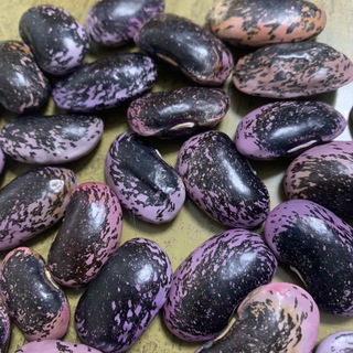 無農薬　紫花豆　600g(野菜)