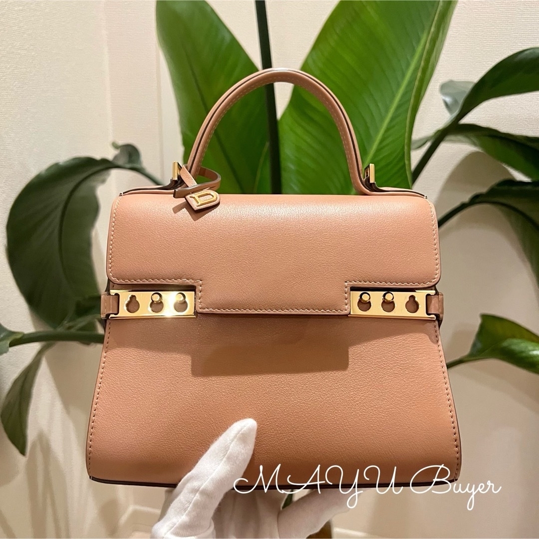 DELVAUX(デルヴォー)のここわん様　DELVAUX タンペートスモール Tempête Small レディースのバッグ(ショルダーバッグ)の商品写真