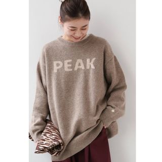 スノーピーク(Snow Peak)のSnow Peak　セーター　新品(ニット/セーター)